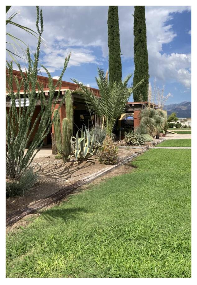 A house with a lot of green plants in the yard