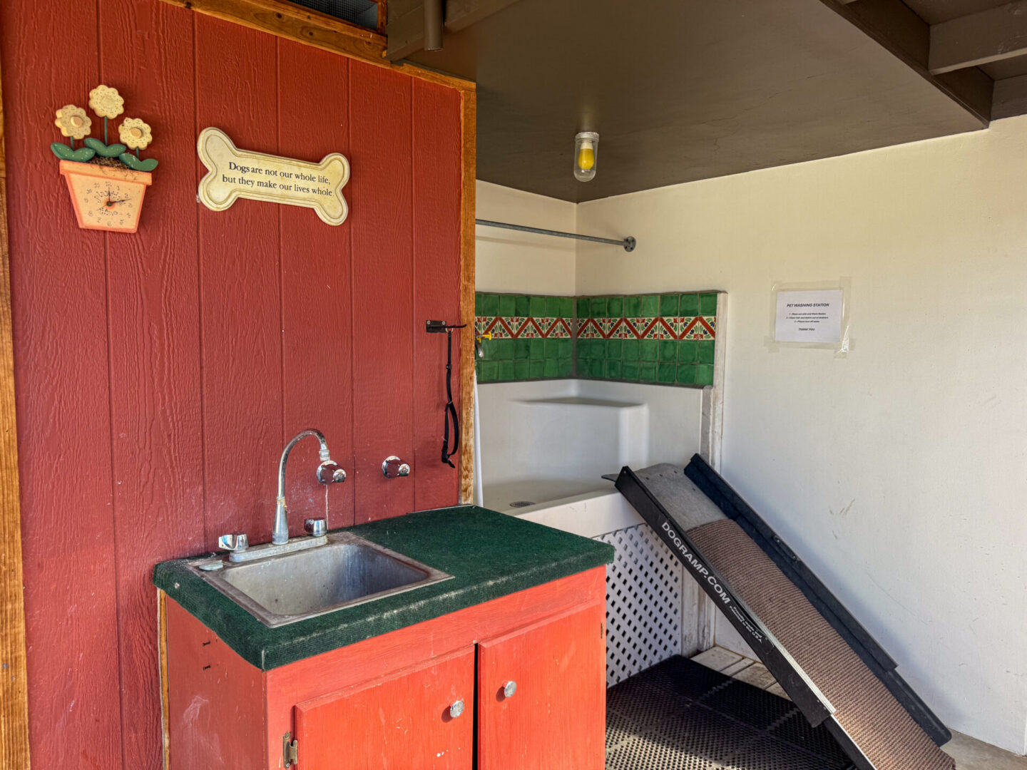 Dog-Wash-1