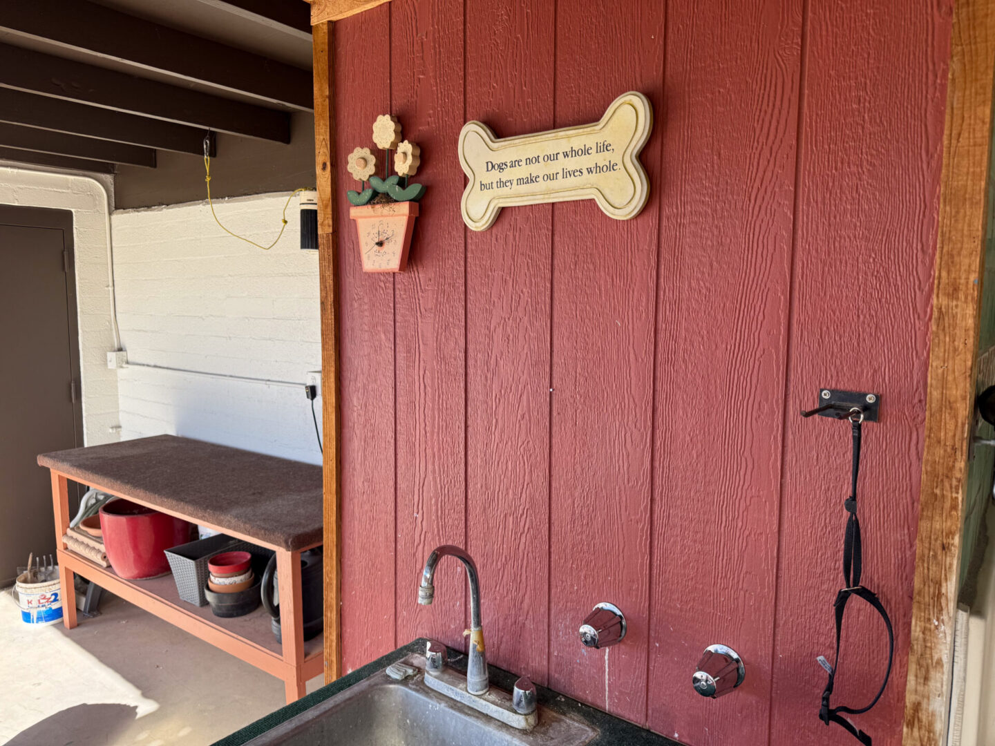 Dog-Wash-2
